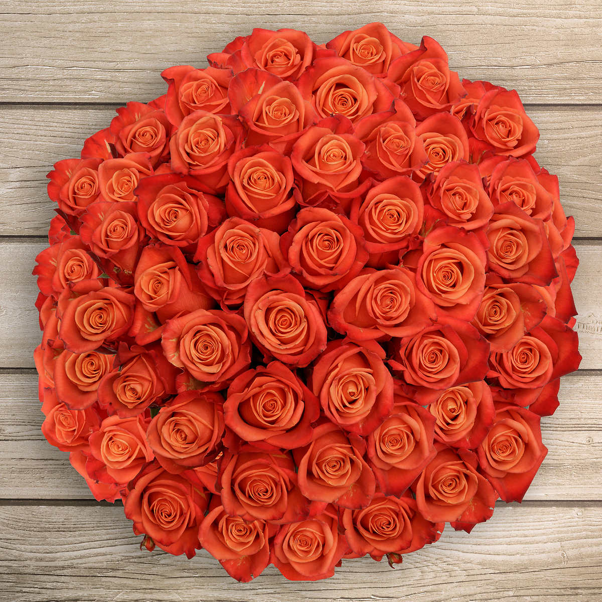 La signification des couleurs des Roses fénoweb