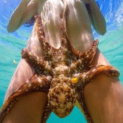 Le vendredi 8 novembre 2019, on se détend en images #136