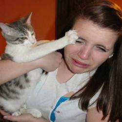 Le chat n'est clairement pas le meilleur ami de l'homme