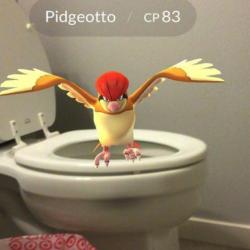 Quand les Pokémon apparaissent dans des endroits insolites