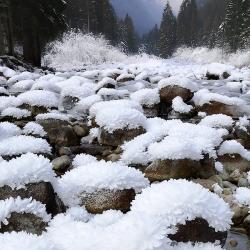 Quand le froid crée des oeuvres d'art de glace