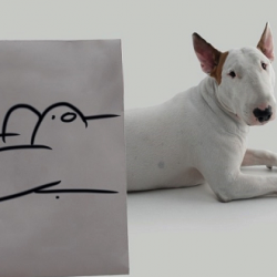 Jimmy : le bull-terrier mit en scène dans des dessins délirants