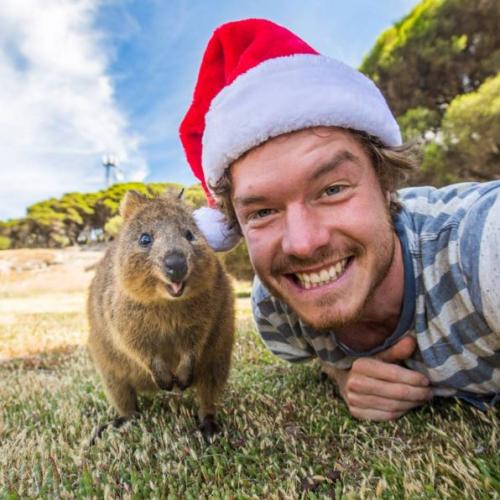 Allan Dixon, selfie avec des animaux