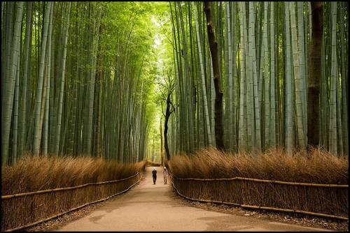 Découvrez le Japon au travers ces fabuleux clichés