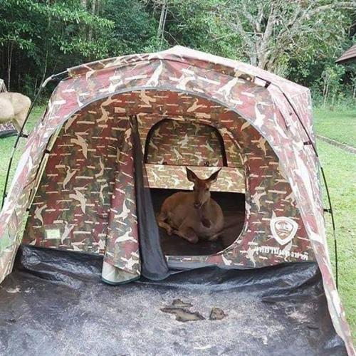 Le vendredi 28 mai 2021, on se détend en images #210