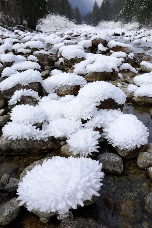 Quand le froid crée des oeuvres d'art de glace