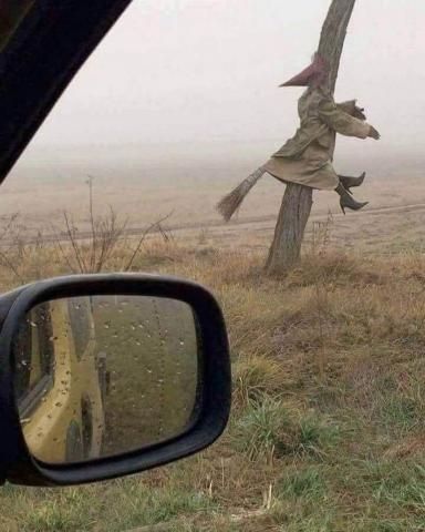 Les plus belles photos d'Halloween 2020 Halloween 2020 en images
